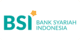 BSI Fast Pay logo